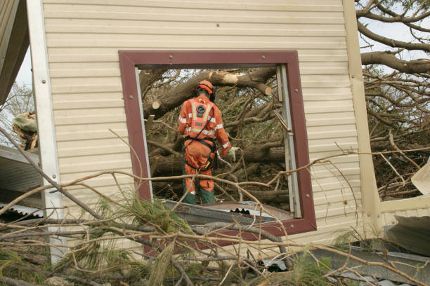 Best Utility Line Clearance  in Reston, VA